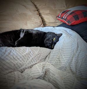 Meet your Posher, Tom